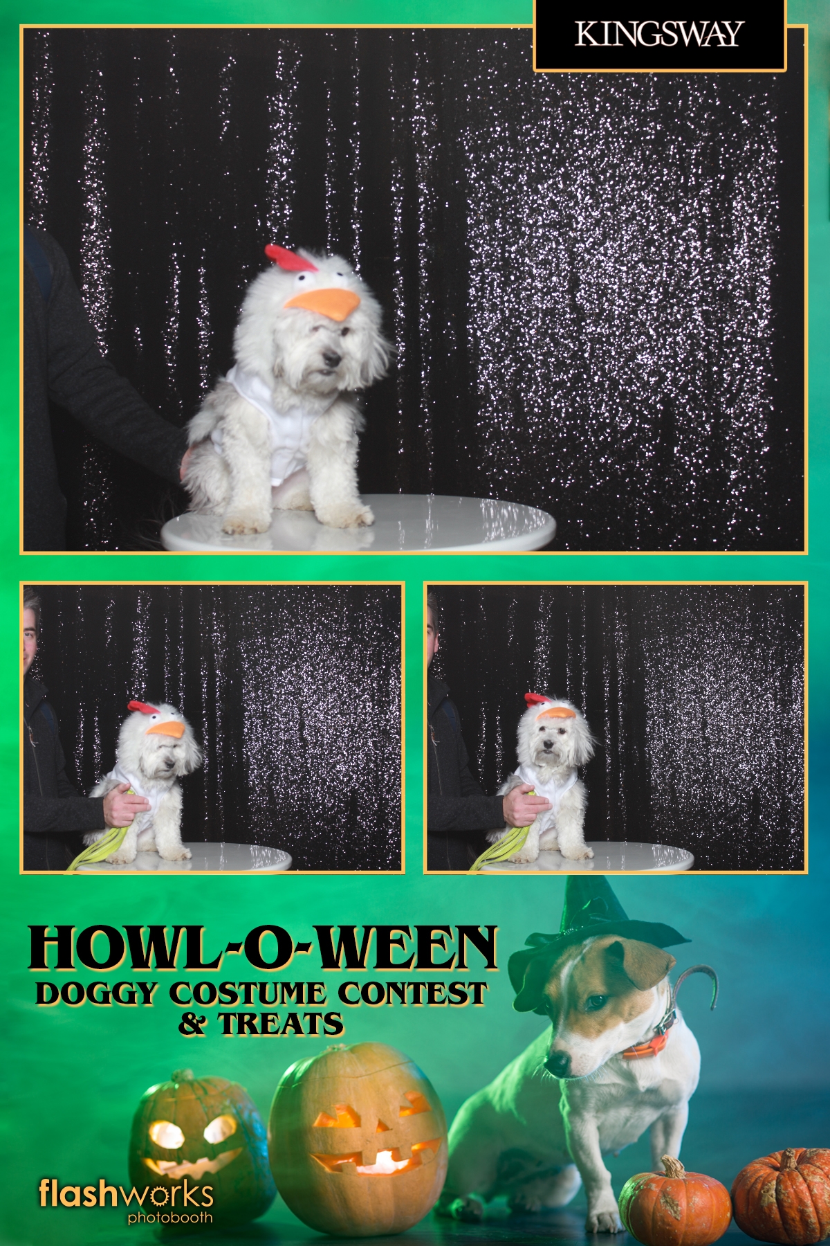 Kingsway Howl-O-Ween Doggy Costume Contest | View more photos from the event at gallery.flashworksphotobooth.com/u/FlashworksPhotoboothInc/Kingsway-Howl-O-Ween-Doggy-Costume-Contest